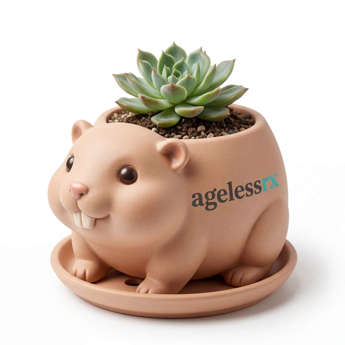 Ageless Rx Mole Rat Desk Plant Pot